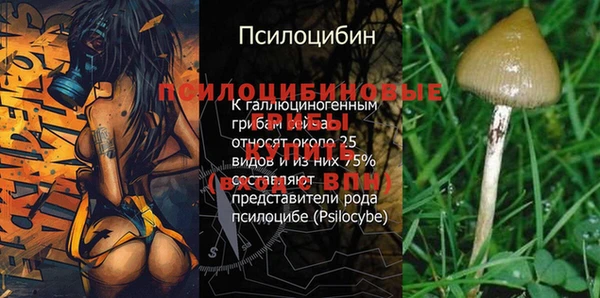 гидра Балахна
