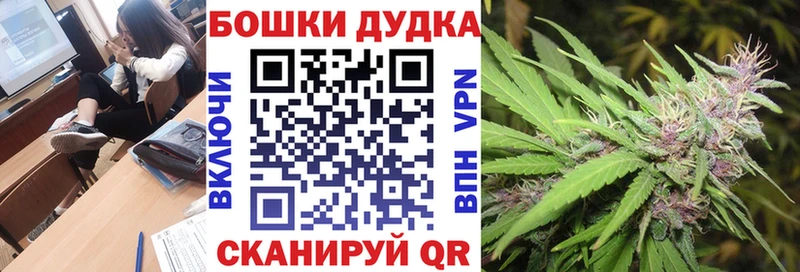 Шишки марихуана Bruce Banner  hydra как войти  Курчалой  цена наркотик 